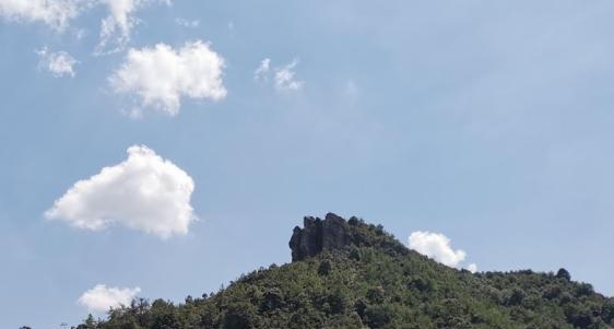 无人机如何打赢夏日“灭蚊战”？需要做到这三点！