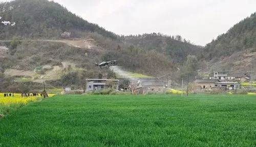 郧西县城关镇：无人机“护航” 夏粮生产