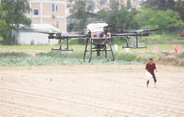 石狮旱稻首次使用无人机“飞播” 10分钟能种5亩地