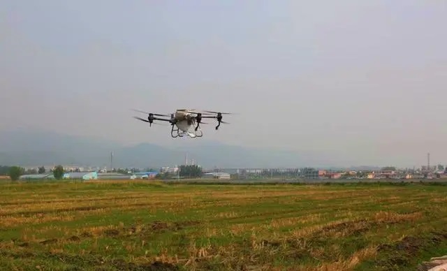 晋源区：无人机上岗，助力水稻田间管理