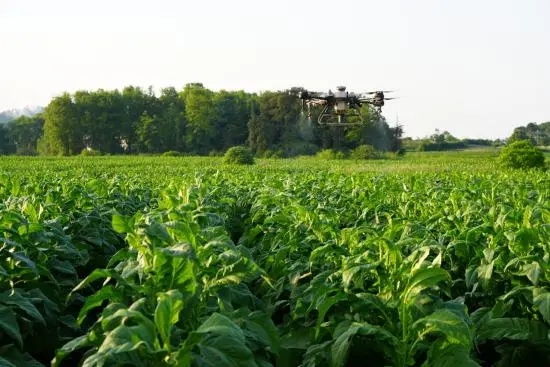 江西安福：无人机植保飞出助农“新高度”
