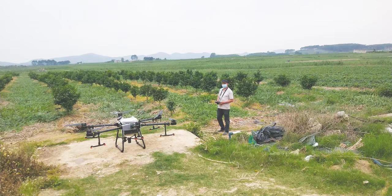 无人机已经成为吴信榜干农活的好搭档 (受访者供图)